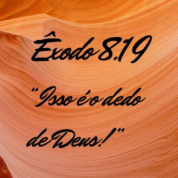 Êxodo 8:16-19