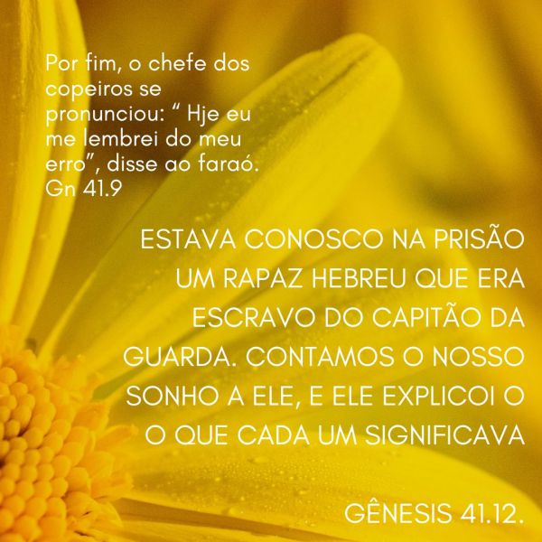 Gênesis 41:9-12